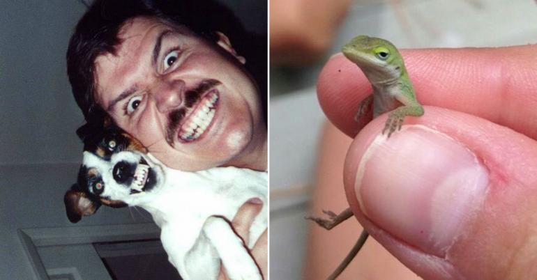 Animals are now, and forever, the funniest thing on the web — I said it (65 Photos)