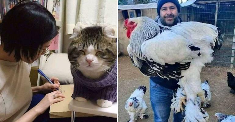 Absolute Units: I’m in awe at the size of these lads (35 photos)