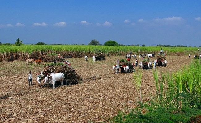 PM Says 3 Farm Laws To Be Repealed