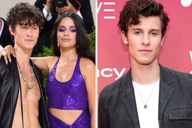 Shawn Mendes Just Released A Breakup Song Weeks After Announcing His Relationship With Camila Cabello Was Over