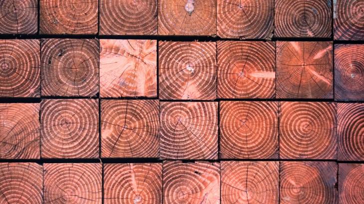 How to Figure Out if Wood Has Been Pressure-Treated, and Why It Matters