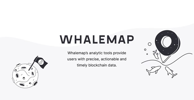 Blockchain Analytics Platform Whalemap Announces $1.6M Raise to Simplify Blockchain Data For Everyday Use
