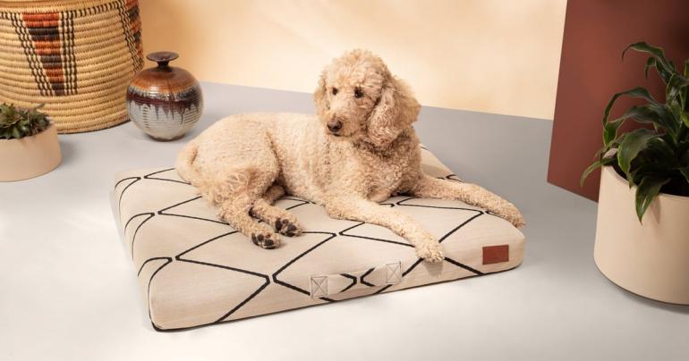 30 Paw-sitively Perfect Gifts For Your Dog-Loving Friends