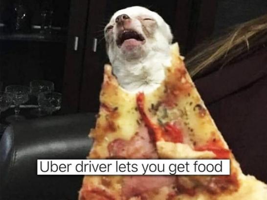 Dog memes are barkin’ up the right tree (31 Photos)