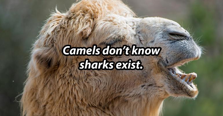 They’re not wrong, but I hate them for making the point… (33 Photos)