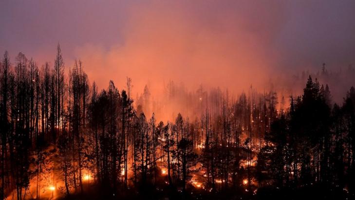 US plans $50B wildfire fight where forests, suburbia meet up