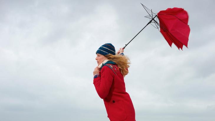 How to Buy an Umbrella That Doesn’t Suck