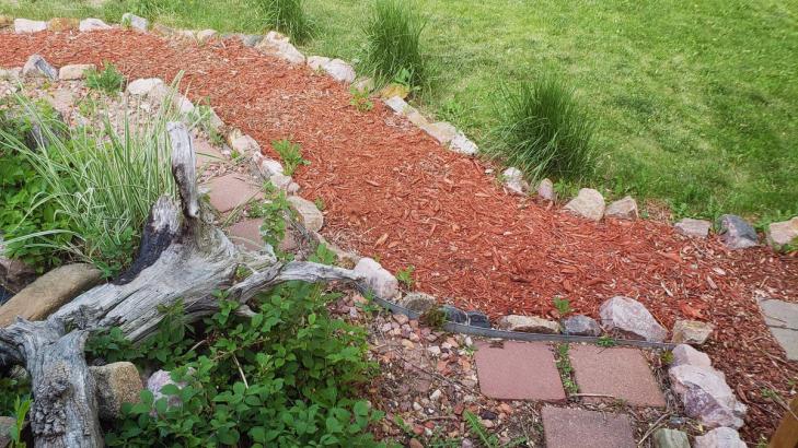 How to DIY an Inexpensive but Beautiful Garden Path