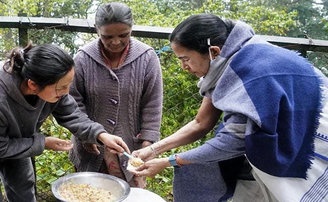 "Momo With Mamata": Bengal Chief Minister Lends A Hand At Darjeeling Stall