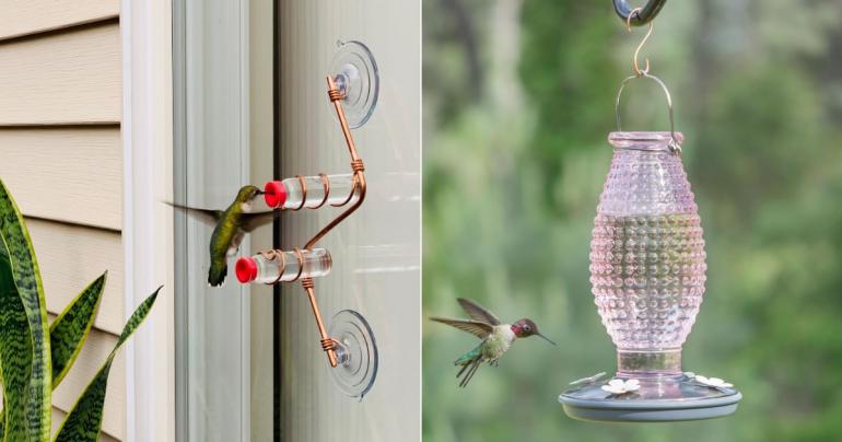 Attract Hummingbirds to Your Backyard With These 17 Feeders