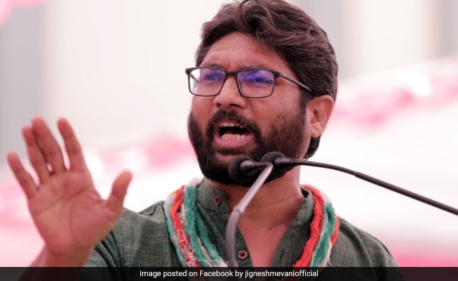 Gujarat MLA Jignesh Mevani Gets Bail In Case Over "Negative" Posts On PM