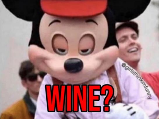 Pop the Cork on Some Wine Memes (29 Photos)