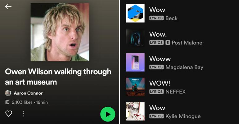 Strange Spotify playlists we never knew we needed until now (35 Photos)