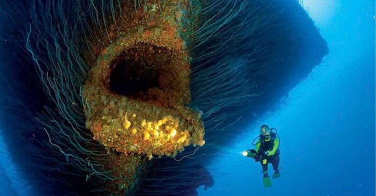 The Deep Blue Sea can be straight nightmare fuel (26 Photos)