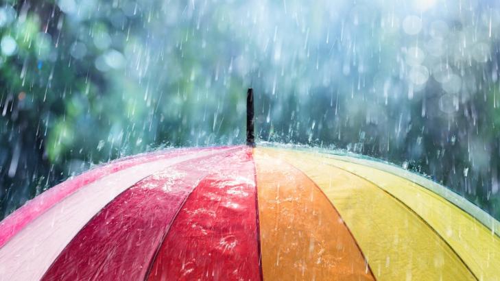 The Difference Between 'Rain' and 'Showers' in Your Weather Forecast