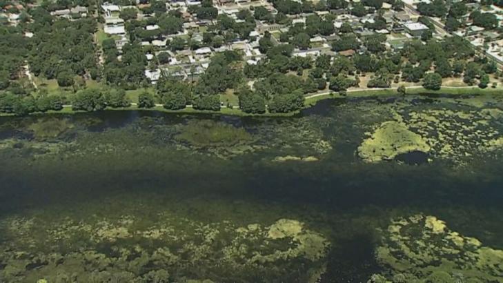 Florida man killed in suspected alligator attack, police say