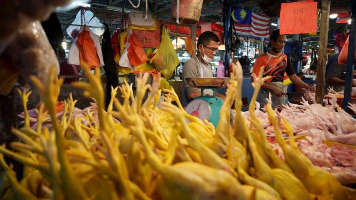 Malaysia suspends chicken exports amid rising food prices