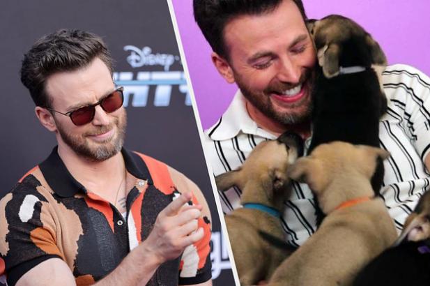 17 Moments That Prove Chris Evans Is, Frankly, Violently Hot