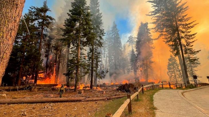Wildfire near Yosemite close to grove of historic sequoia trees