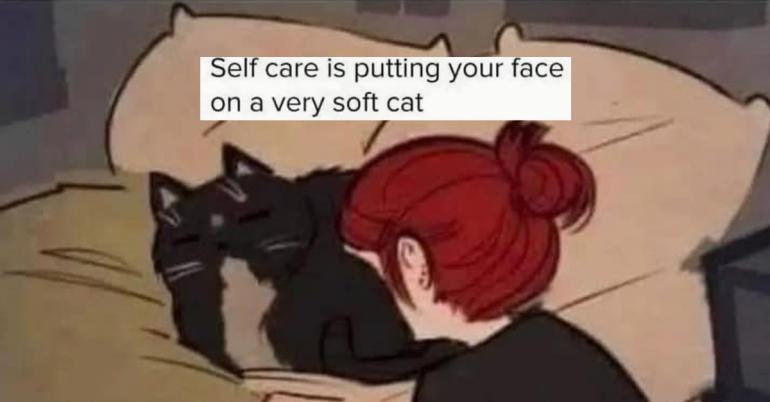 Yeah, we wish we could tag these cats in these photos and memes (31 Photos)