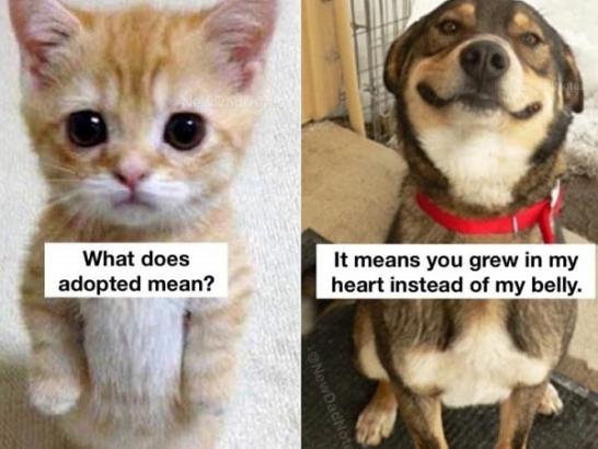 A Nice Warm Basket of Wholesome Funnies (25 Photos)