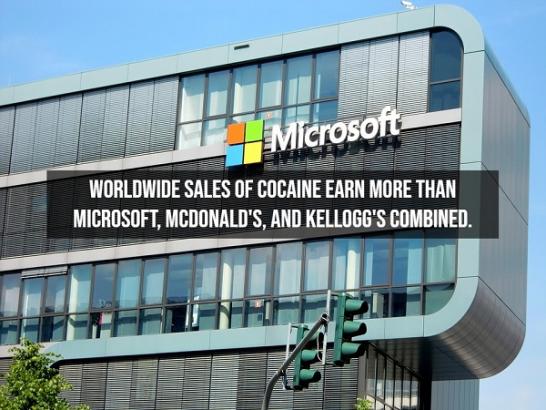 These Cocaine Facts Blow (15 Photos)