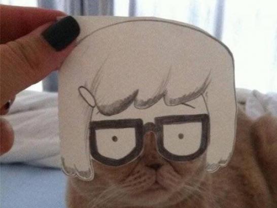 Cat Saturday Is a Purrfect Weekend Treat (32 Photos)
