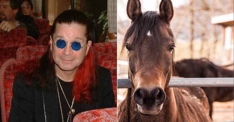 Ozzy Osbourne quit dropping ac*d because of an odd hallucination (5 GIFs)