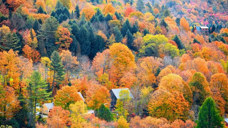 Your Fall Travel Needs This Foliage Map