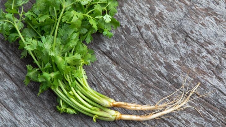 You Should Eat Cilantro Roots