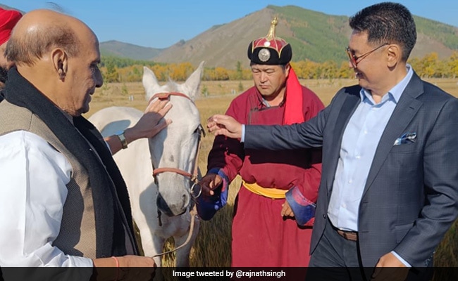 Rajnath Singh Gifted Horse By Mongolian President, Names It 'Tejas'