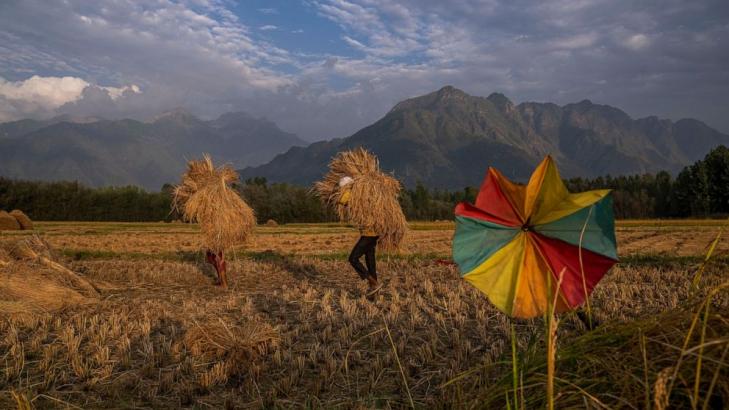 ADB to devote $14B to help ease food crisis in Asia-Pacific