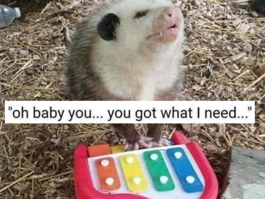 Animal Memes! Animemes? Just Come In (27 Photos)