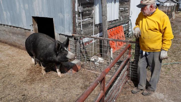 USDA announces $1 billion debt relief for 36,000 farmers