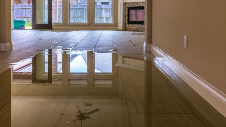 Everything You Need to Do If Your Home Has Water Damage