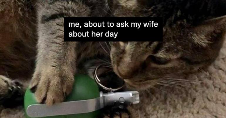 Married life in a funny, and sometimes brutal, nutshell (26 Photos and GIFs)