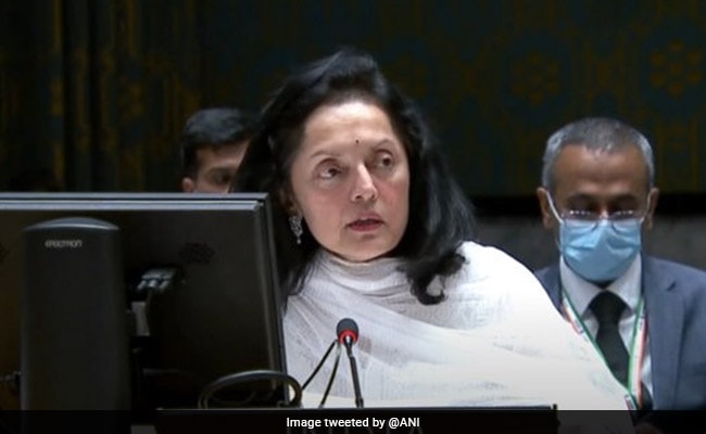 "We Don't Need To Be Told What To Do On Democracy": India At UN