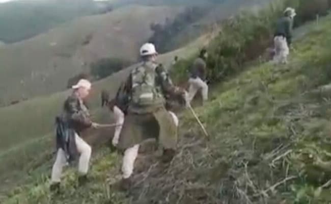 Over 700 Illegal Poppy Farmers Arrested Along Myanmar Border In Manipur