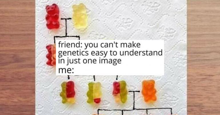 I’ve been told you *might* learn something from these educational memes (30 Photos)
