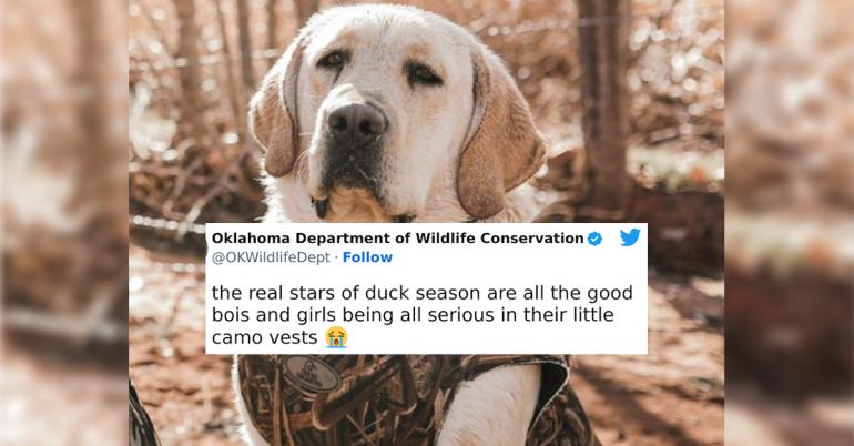 Why is the Oklahoma Wildlife Conservation my new favorite Twitter? (30 Photos)