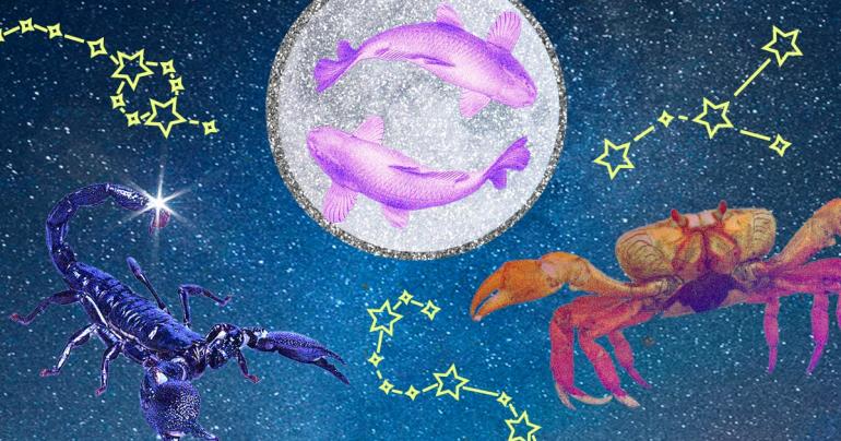 Your March 5 Weekly Horoscope Advises You to Go With the Flow