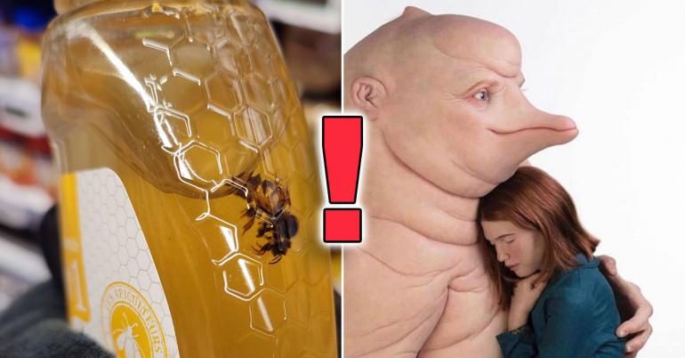 Oh, cool, the stuff of absolute Nightmares (25 Photos