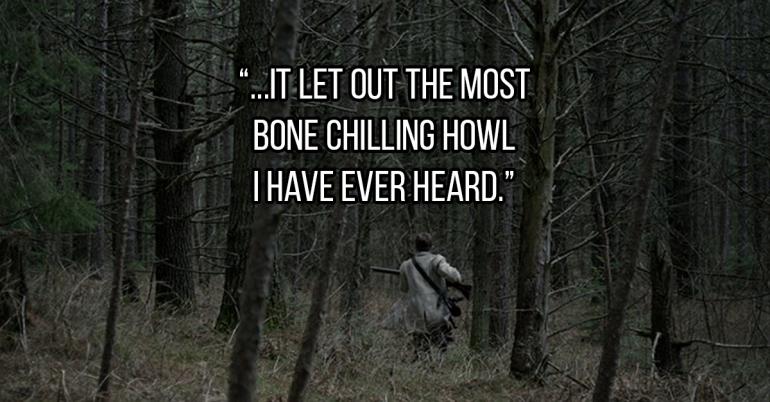 Campers share their most terrifying experiences in the wild (18 GIFs)