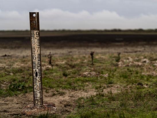 Spanish PM, EU slam irrigation plan for drought-hit wetlands