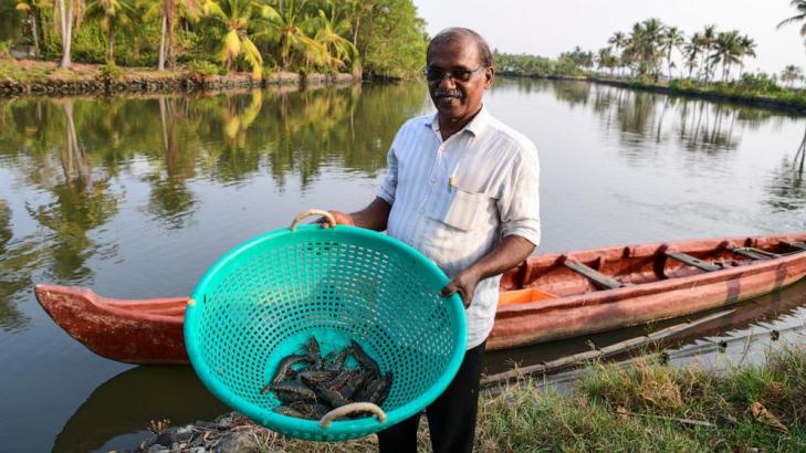 Pricey prawns may imperil Indian grain that combats climate