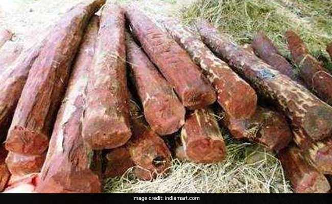 16 Arrested For Smuggling Red Sandalwood Worth Over Rs 40 Lakh In Andhra