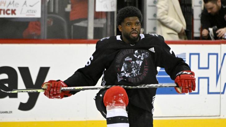 Subban launches show showcasing diverse world of hockey