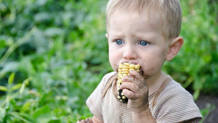 The Gross Things Your Kids Eat That Are Dangerous (and the Ones That Are Just Gross)