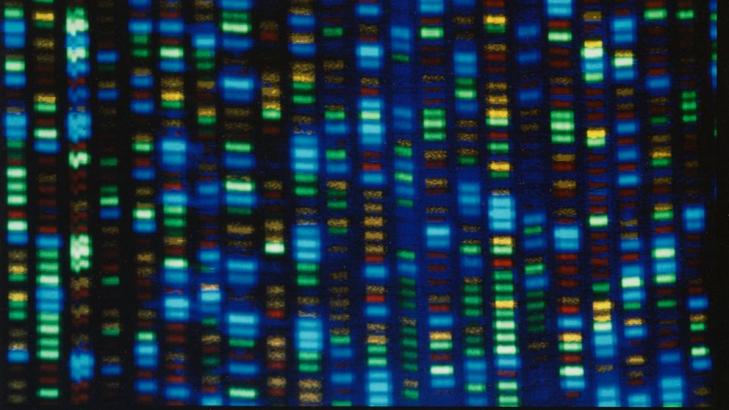 DNA "reference guide" expanded to reflect human diversity