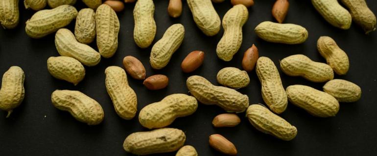 A skin patch to treat peanut allergies? Study in toddlers shows promise